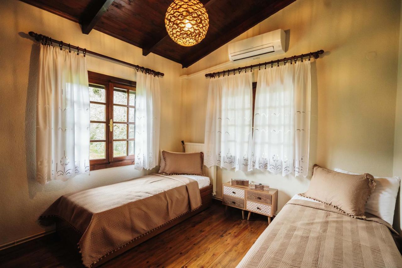 Villa The Tree House Agios Andreas  Exterior foto